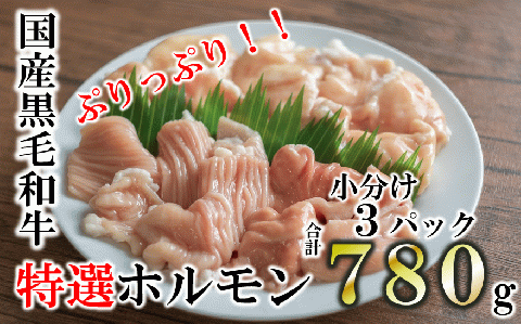 【国産黒毛和牛】特選ホルモン780ℊ （260g×3パック)小分け　10-67