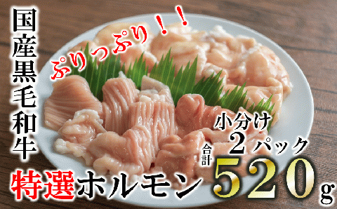 【国産黒毛和牛】特選ホルモン520ℊ （260g×2パック)小分け　07-26
