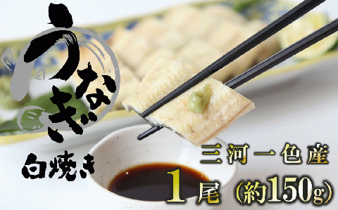 【うなぎ 白焼き】活うなぎ 1尾/愛知・一色産150g 魚プロ集団が最新ロースト機で手掛ける自信作！ （11-54）