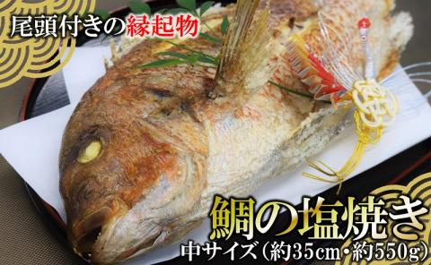 【塩焼き鯛（タイ）・姿焼き】<中>約550g/約35㎝　尾頭付き・縁起物～魚プロ集団が手掛ける自信作　（18-21）