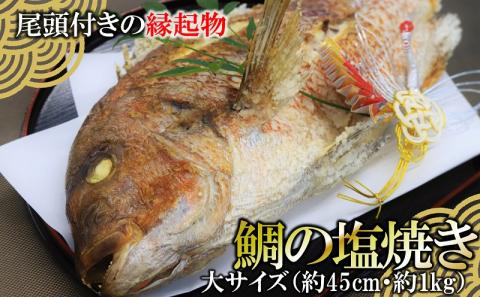 【塩焼き鯛（タイ）・姿焼き】<大>約1ｋg/約45㎝～尾頭付き・縁起物～魚プロ集団が手掛ける自信作　（29-15）