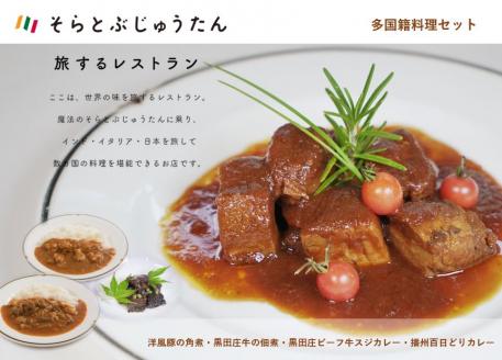 【多国籍料理４種セット】～黒田庄ビーフ牛スジカレー/播州百日どりカレー/黒田庄和牛の佃煮/洋風豚の角煮～　14-13