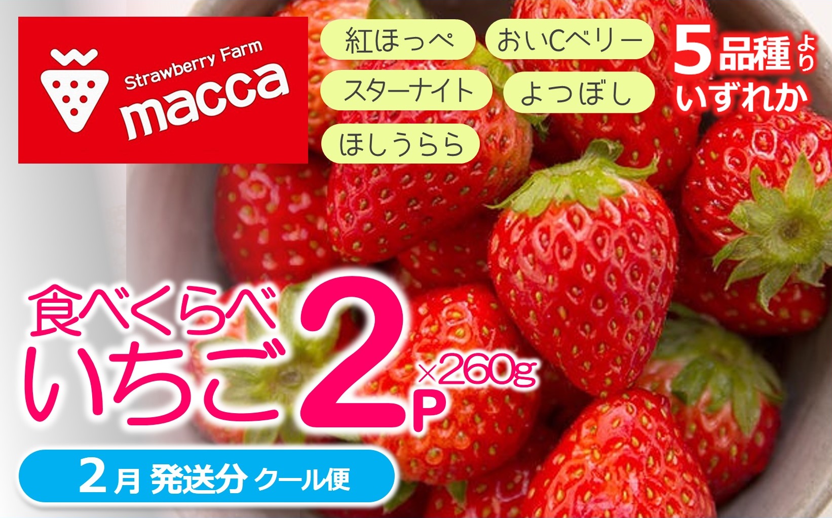 令和８年２月下旬配送分「ひょうご推奨ブランド」認証「西脇市産いちご食べくらべセット」（1箱2パック）～いちご畑macca～（06-39）
