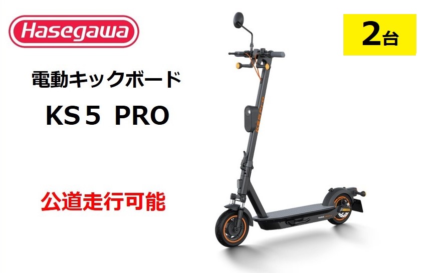 【訳あり/モデルチェンジ】【長谷川工業（Hasegawa)】公道走行が可能な電動キックボード KS5 PRO ２台　電動モビリティ 折り畳み 700-1