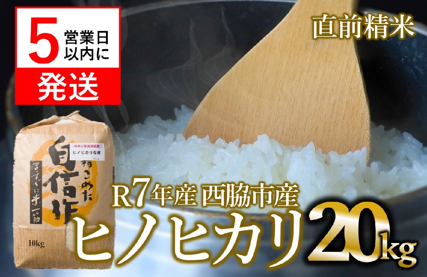【スピード発送】ヒノヒカリ 20kg 白米 令和7年産 米 お米 20kg 米20kg 兵庫県産 ひのひかり ヒノヒカリ 西脇市産 R7年産 2025年産 精米
