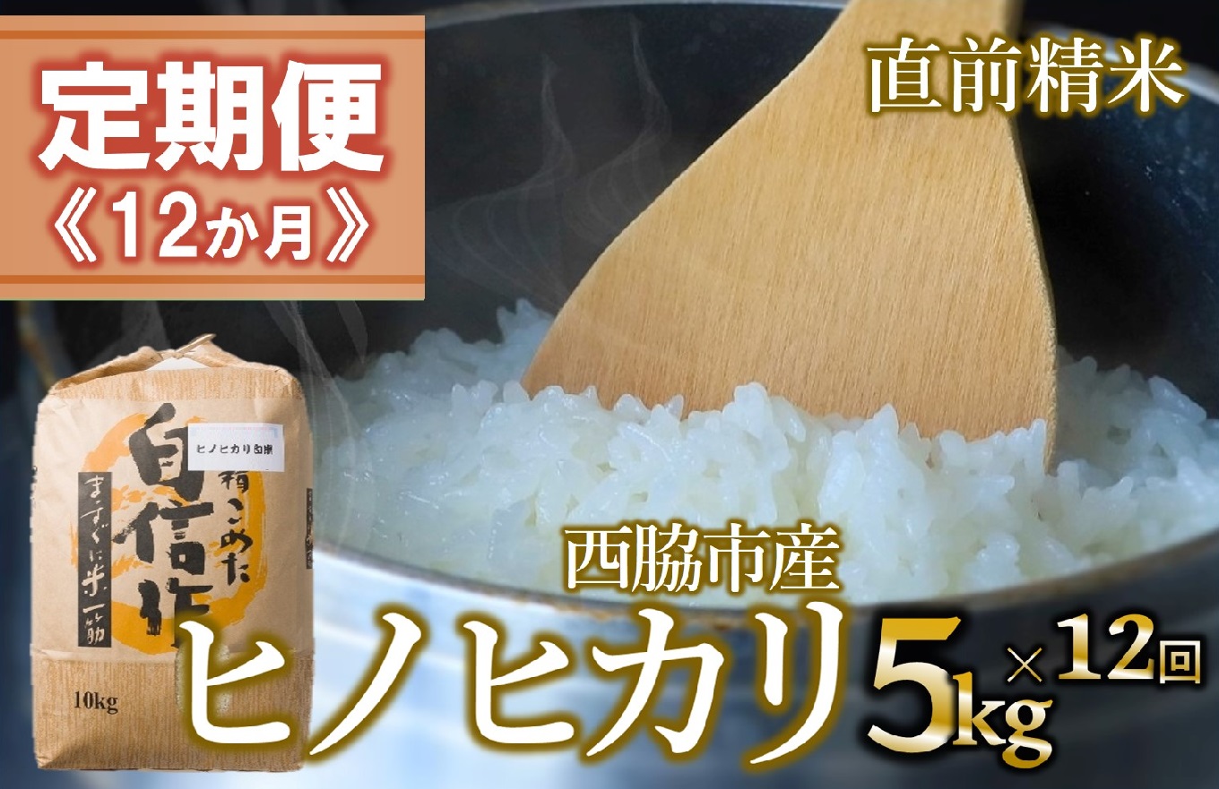【定期便 12か月 ヒノヒカリ】白米5kg（12か月連続お届け） 2025年産　米 お米 米5㎏ お米5㎏ 兵庫県産 ひのひかり ヒノヒカリ 西脇市産 定期 連続 12回 12か月 1年 2025年産 精米 便利 らくちん ラク