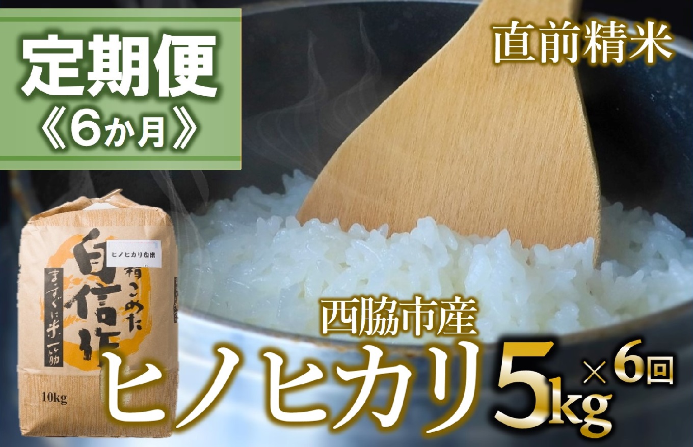 【定期便 6か月 ヒノヒカリ】白米5kg（6か月連続お届け） 2025年産　米 お米 米5㎏ お米5㎏ 兵庫県産 ひのひかり ヒノヒカリ 西脇市産 定期 連続 6回 6か月 2025年産 精米 便利 らくちん ラク