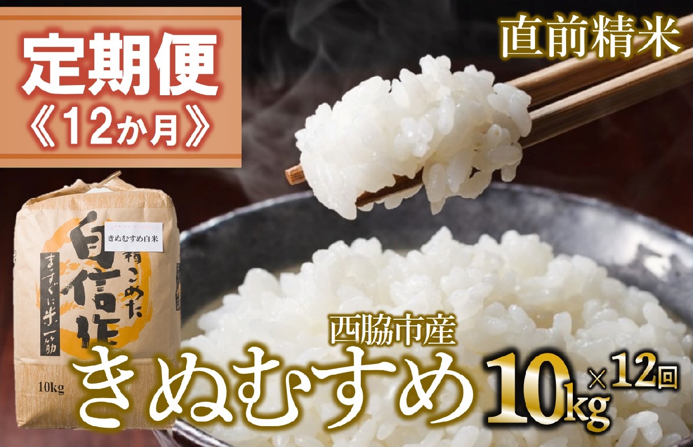 【定期便 12か月 きぬむすめ】白米10kg（12か月連続お届け）新米 2025年産 米 お米 米10㎏ お米10㎏ 兵庫県産 きぬむすめ キヌムスメ 西脇市産 定期 連続 12回 12か月 1年 令和7年産 精米 便利 らくちん ラク