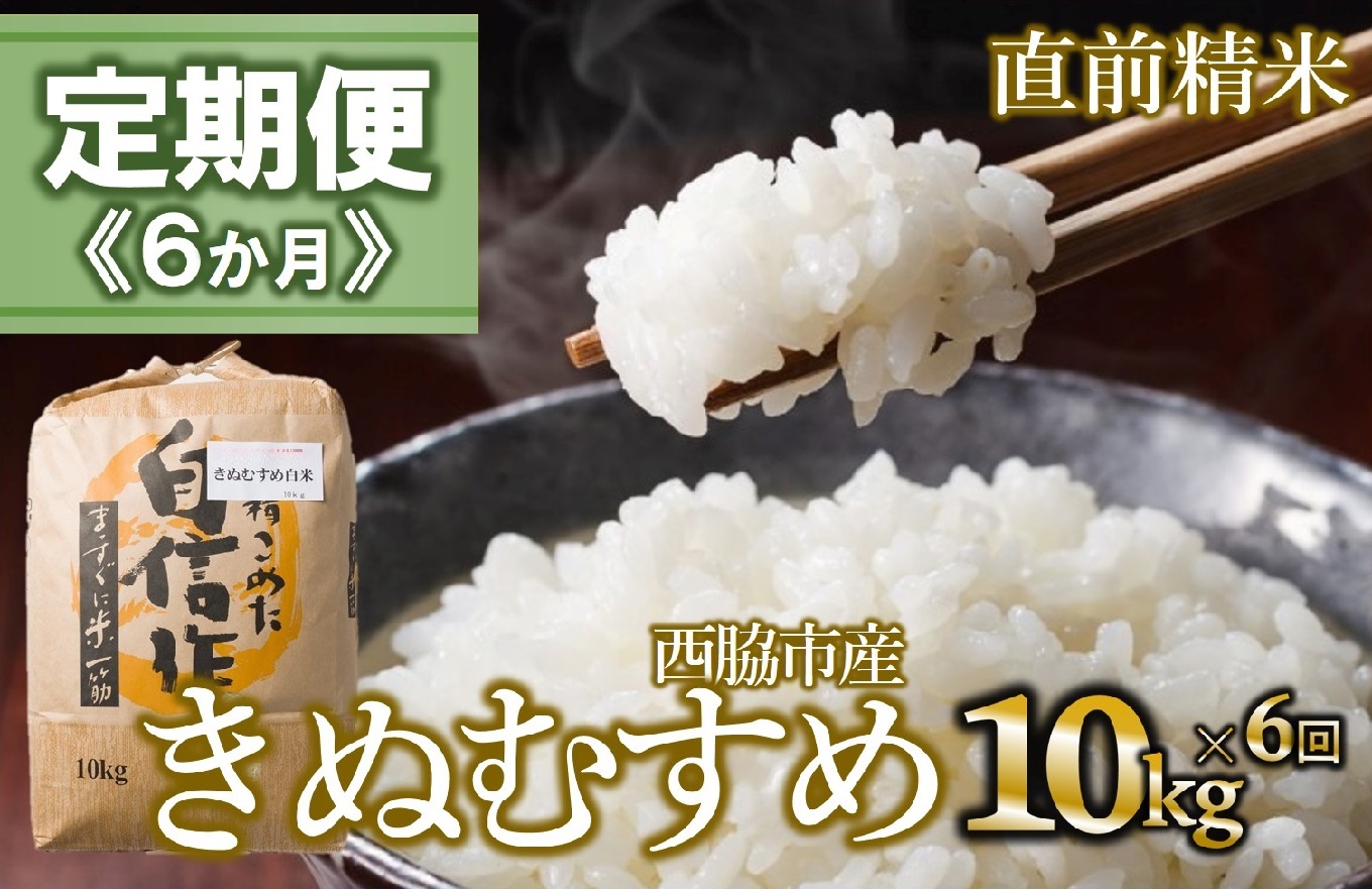 【定期便 6か月 きぬむすめ】白米10kg（6か月連続お届け）2025年産　米 お米 米10㎏ お米10㎏ 兵庫県産 きぬむすめ キヌムスメ 西脇市産 定期 連続 6回 6か月 2025年産 精米 便利 らくちん ラク