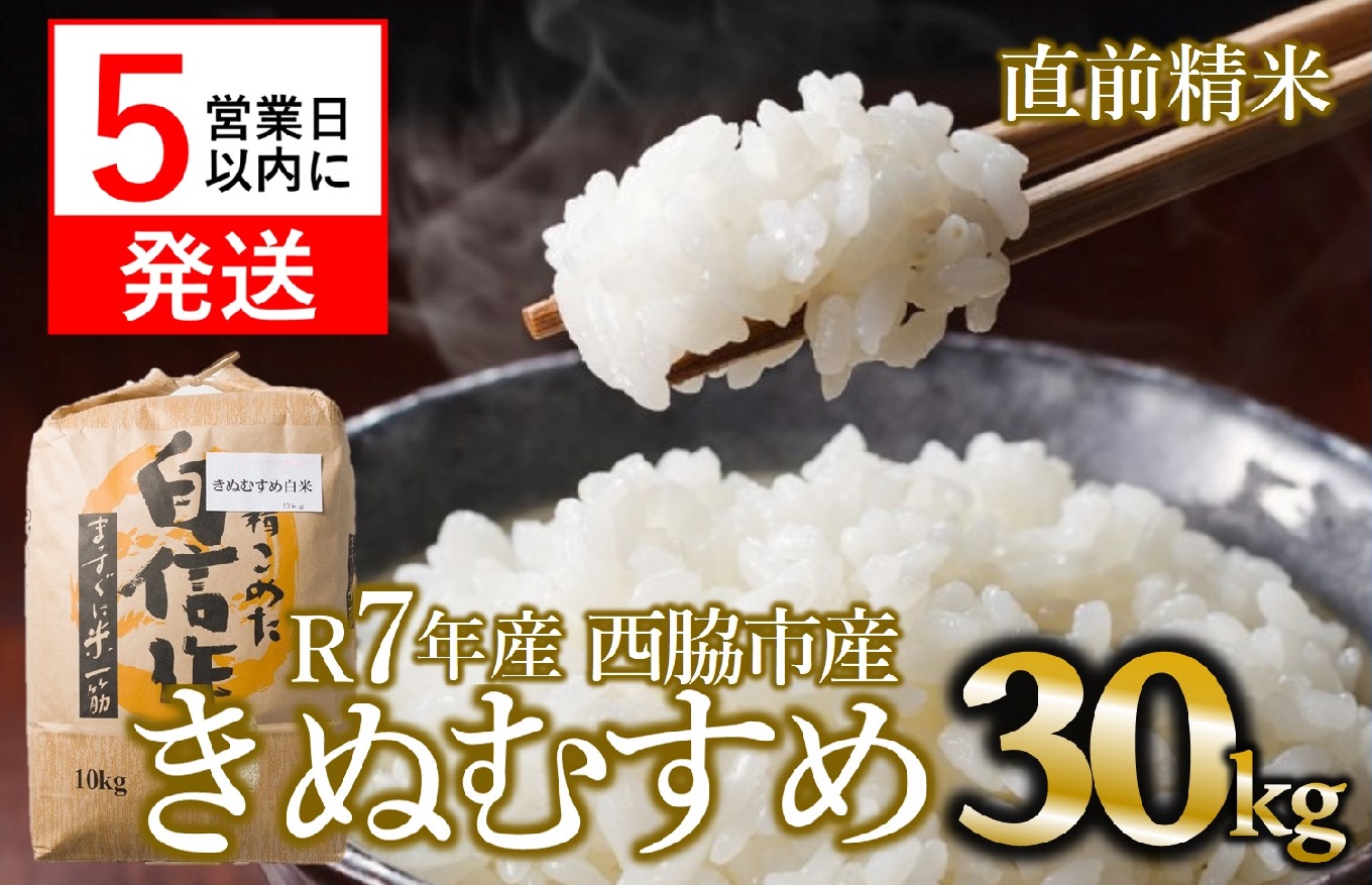 【スピード発送】きぬむすめ 30kg 白米 令和７年産 米 お米 こめ コメ 人気 西脇市産 精米