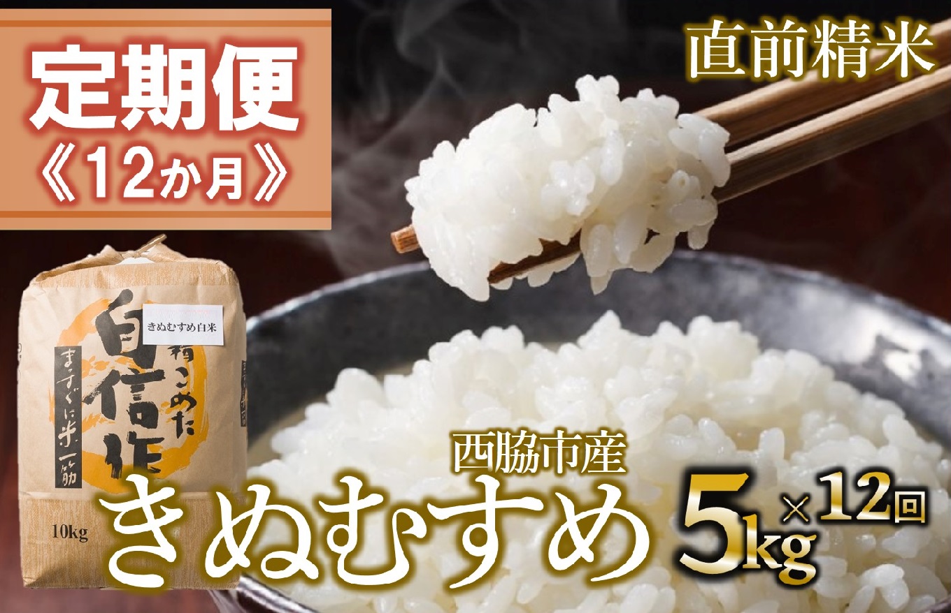 【定期便 12か月 きぬむすめ】白米5kg（12か月連続お届け） 2025年産 米 お米 米5㎏ お米5㎏ 兵庫県産 きぬむすめ キヌムスメ 西脇市産 定期 連続 12回 12か月 1年 令和7年産 精米 便利 らくちん ラク