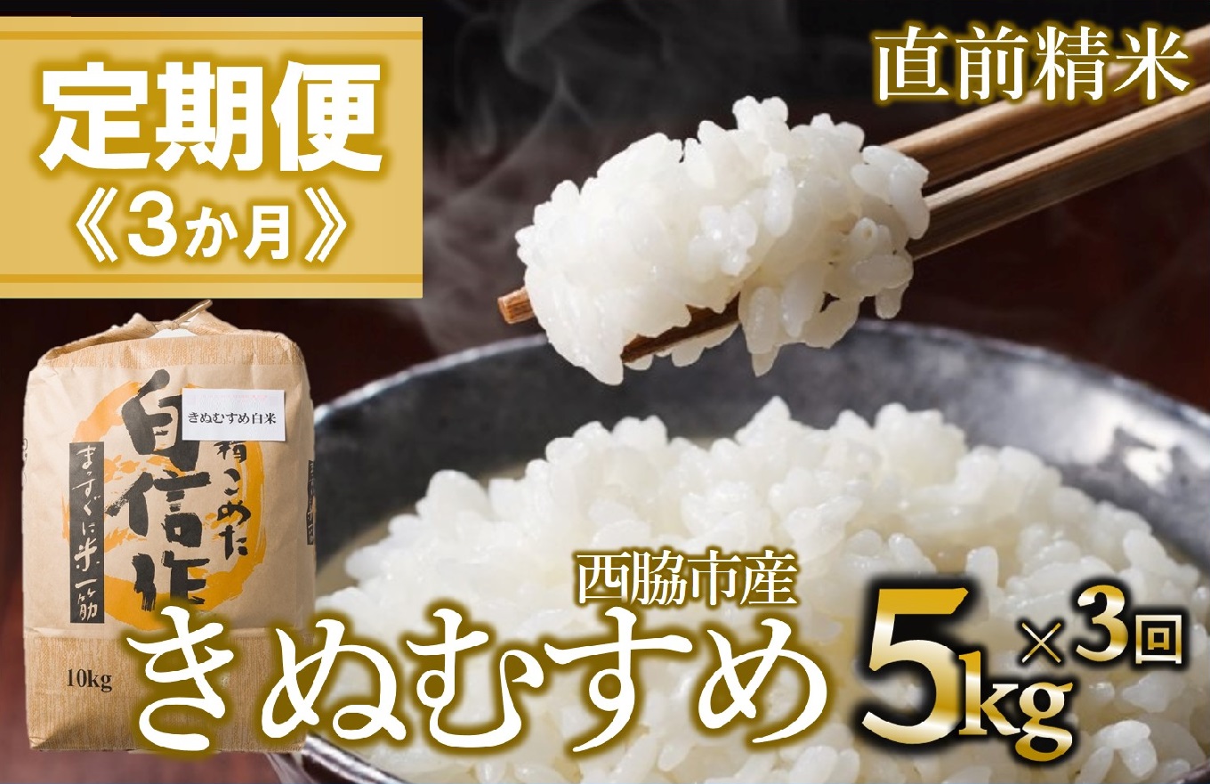 【定期便 3か月 きぬむすめ】白米5kg（3か月連続お届け）2025年産　米 お米 米5㎏ お米5㎏ 兵庫県産 きぬむすめ キヌムスメ 西脇市産 定期 連続 3回 3か月 2025年産 精米 便利 らくちん ラク