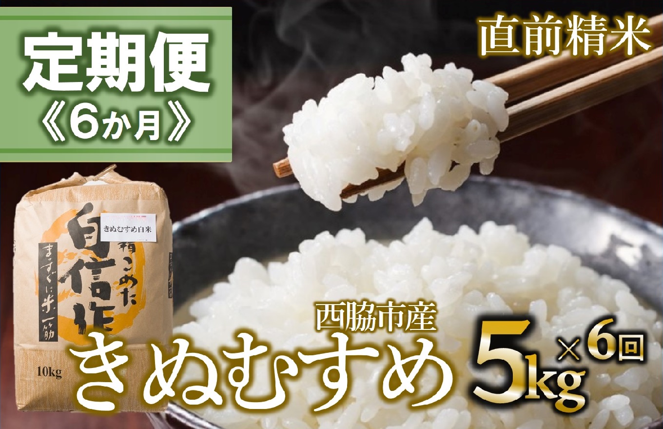 【定期便 6か月 きぬむすめ】白米5kg（6か月連続お届け） 2025年産 米 お米 米5㎏ お米5㎏ 兵庫県産 きぬむすめ キヌムスメ 西脇市産 定期 連続 6回 6か月 令和7年産 精米 便利 らくちん ラク