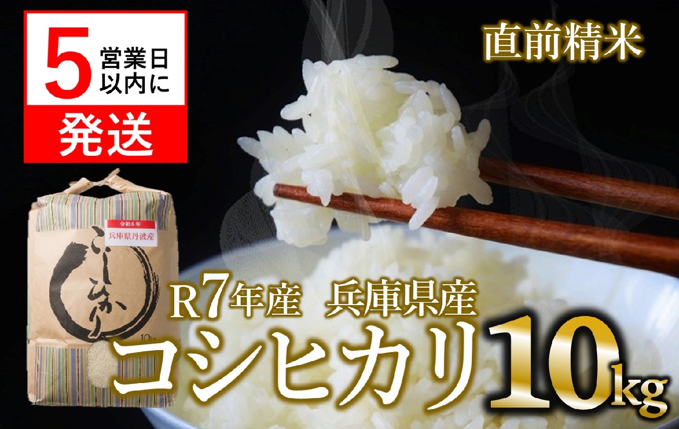 【スピード発送】コシヒカリ 10kg 白米 令和７年産 米 お米 10kg 米10kg 兵庫県産 こしひかり コシヒカリ 西脇市産 令和7年産 R7年産 2025年産 精米