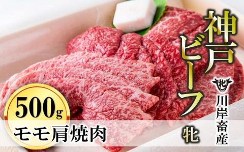 [川岸畜産]神戸ビーフ・牝 モモ肩焼肉用500g (22-20)