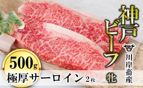 [川岸畜産・期間限定]神戸ビーフ 牝 極厚サーロインステーキ2枚 (約500g) 40-9