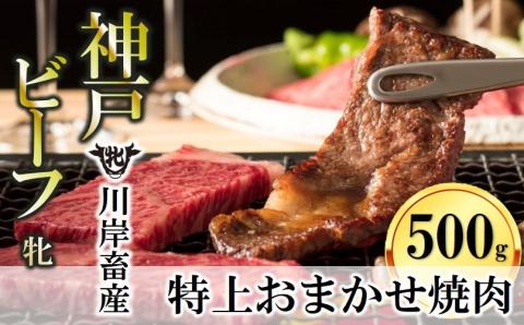 [川岸畜産]神戸ビーフ 牝[特上] 焼肉 おまかせセット 500g 25-10