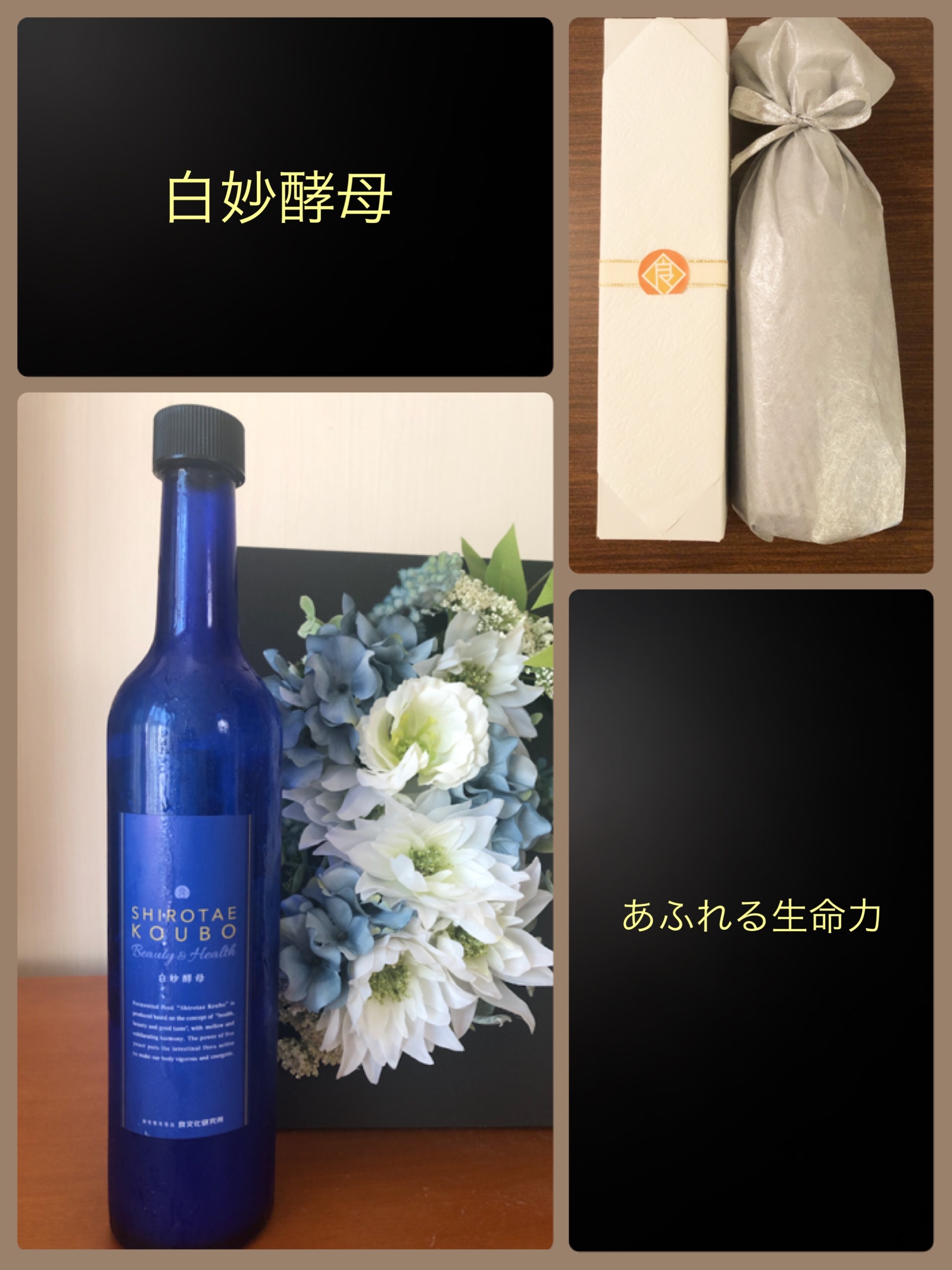 【白妙酵母】美と健康は腸内から！腸内環境を整える発酵食品