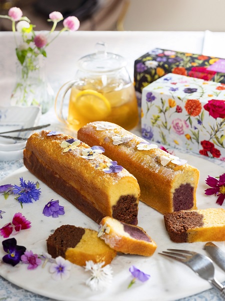 宝塚すみれケーキ【カカオ】