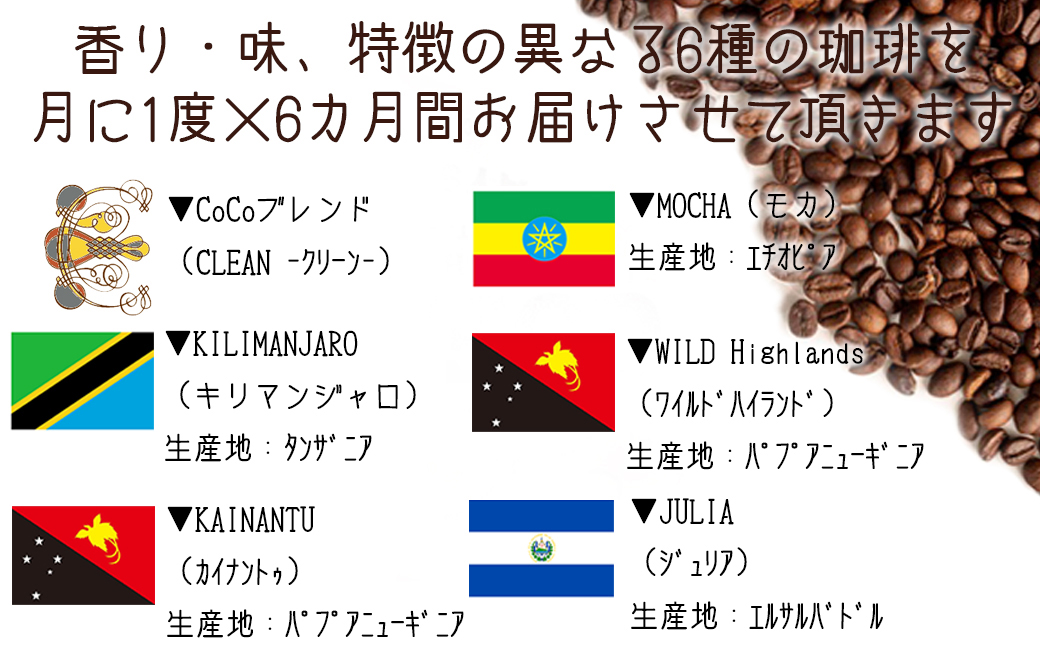 【宝塚】6ヶ月の定期便（当日自家焙煎珈琲豆・全6種 計2400g）【豆】