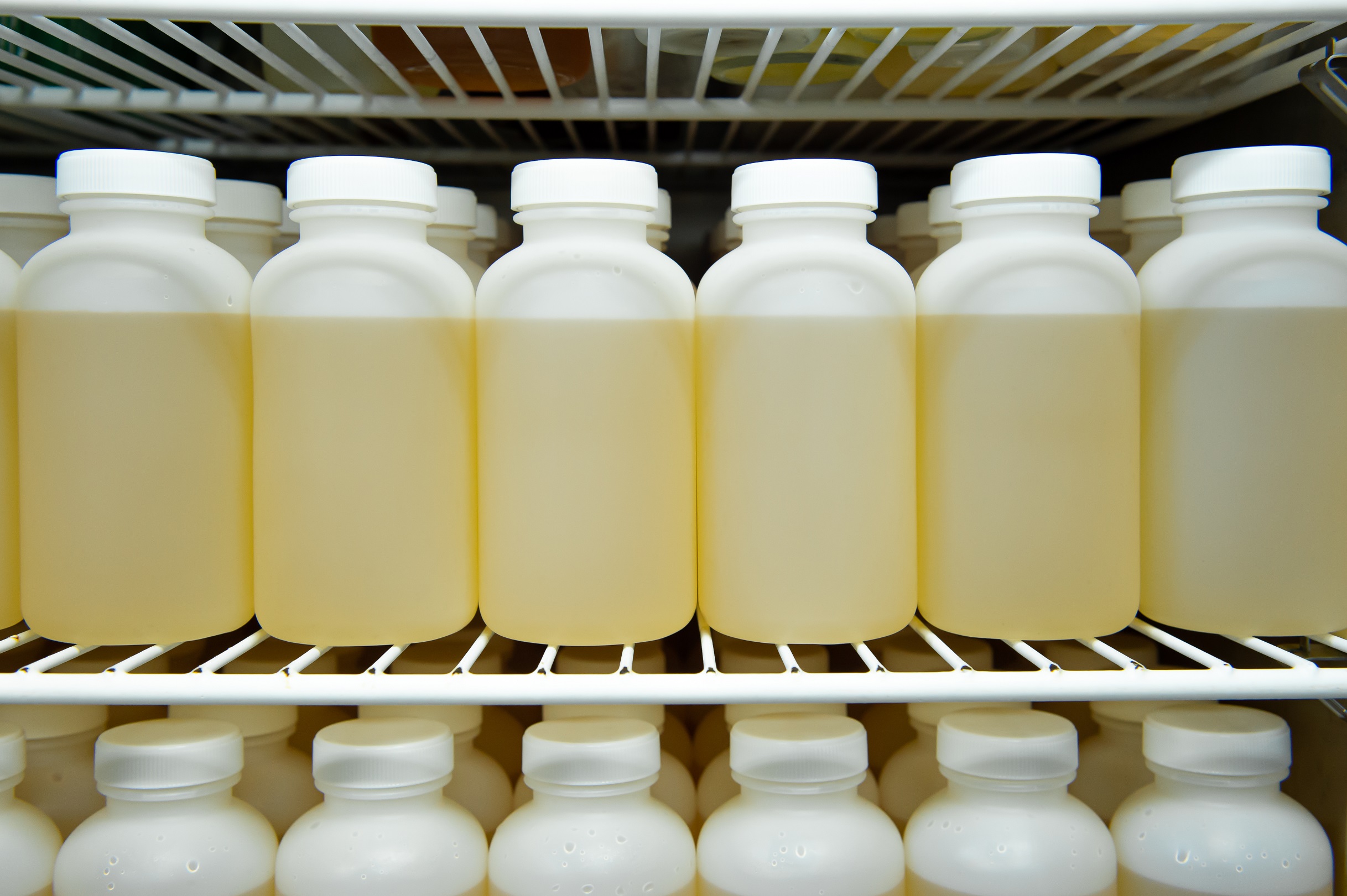 【生酵母SK】おいしく！元気に！美しく！健康は腸内から！生きているから生酵母