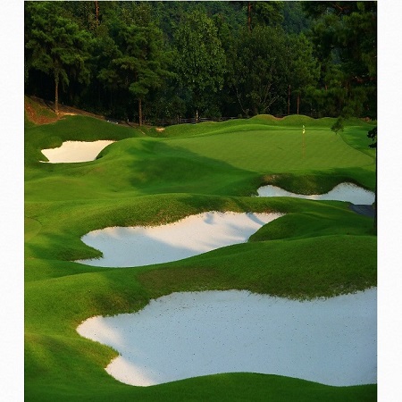 太平洋クラブ宝塚コースで使える「利用券」60000円分