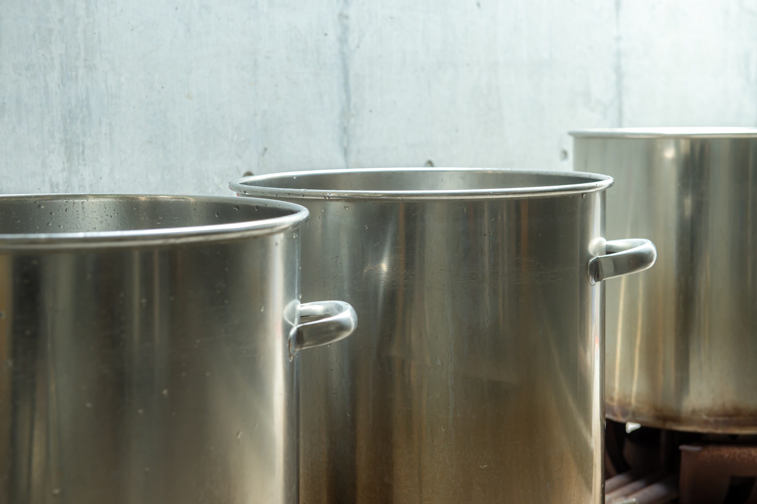 【生酵母SK】おいしく！元気に！美しく！健康は腸内から！生きているから生酵母