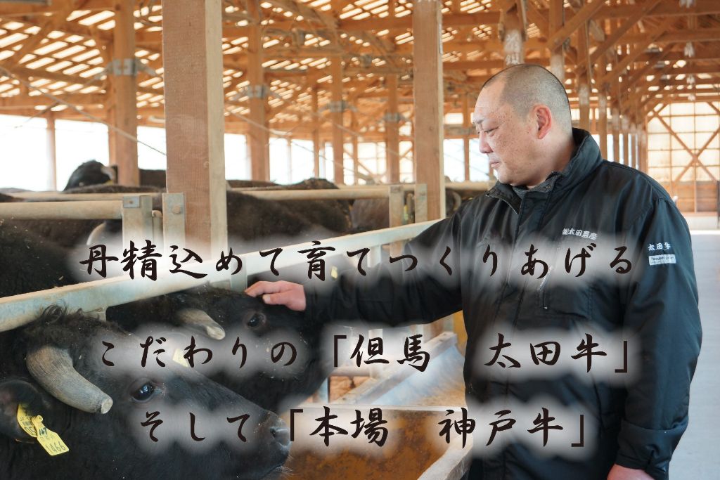 神戸牛(神戸ビーフ)訳あり 切り落とし肉 500g×2 計1kg