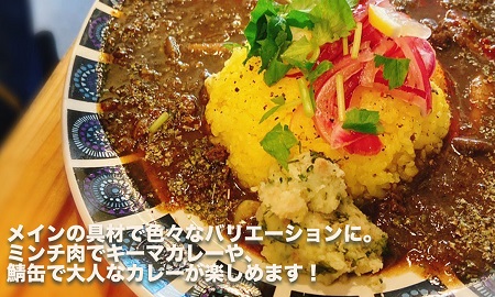 本格スパイスカレーが簡単に作れるキット（CANARiii spice SET）
