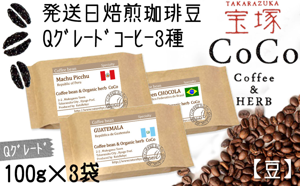 【宝塚】Qグレード珈琲3種類 当日自家焙煎珈琲100g×3種【豆】