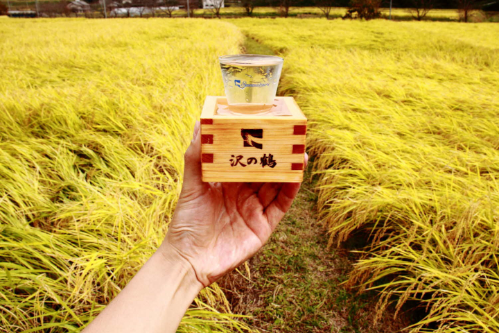 三木市山田錦100% 沢の鶴 特別純米酒 実楽（じつらく）山田錦 1800ml