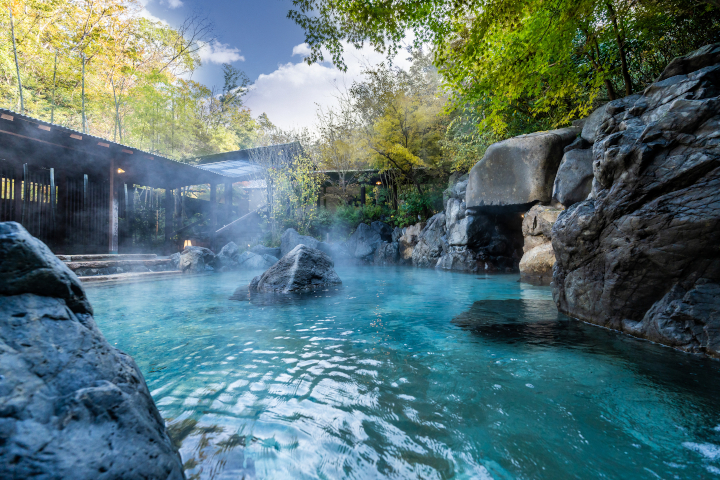 ネスタリゾート神戸　利用券