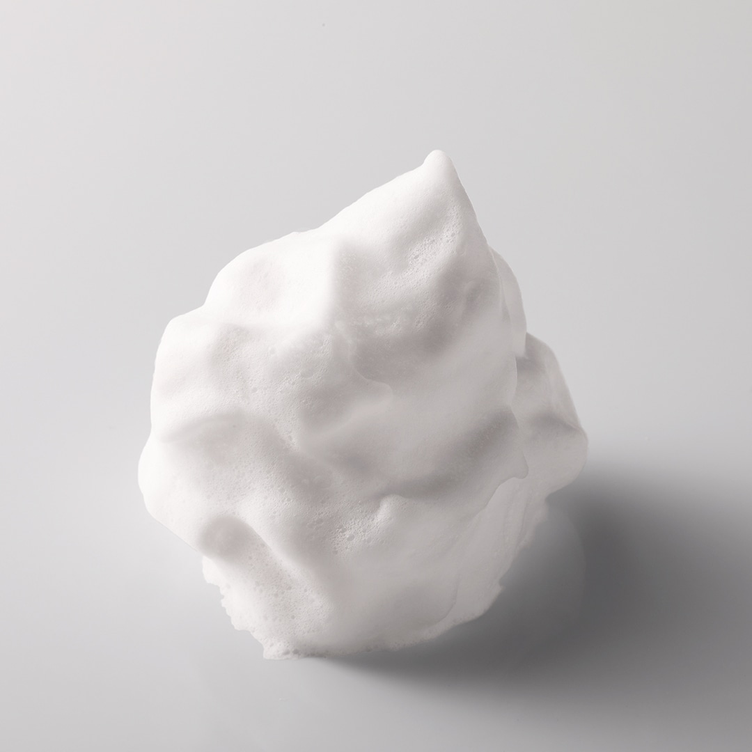 セルグレース W クレンジング フォーム / 保湿 洗顔料 メイク落とし 植物成分 化粧品 高級 ナリス