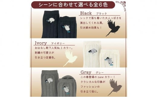 おはなし靴下 ギフトボックス ペンギン レディース ネイビー ネイビー