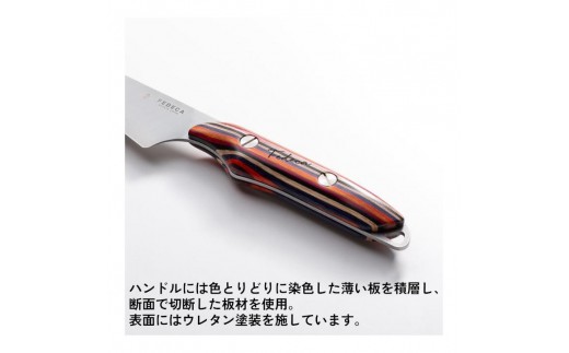 【FEDECA】FEDECAのこども包丁 マルチカラー2024 001111