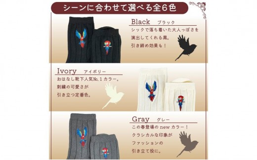 おはなし靴下 ギフトボックス アカコンゴウインコ レディース ブラック ブラック