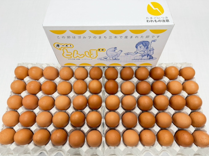 【オーイ！とんぼ×松田養鶏場コラボパッケージ】産地直送  松田養鶏場のひょうごの赤たまご60個（50個+割れ補償10個）