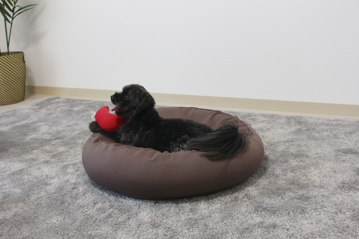 MOGU 雲にのるペットソファ〈ラウンド〉BR（ブラウン） ブラウン