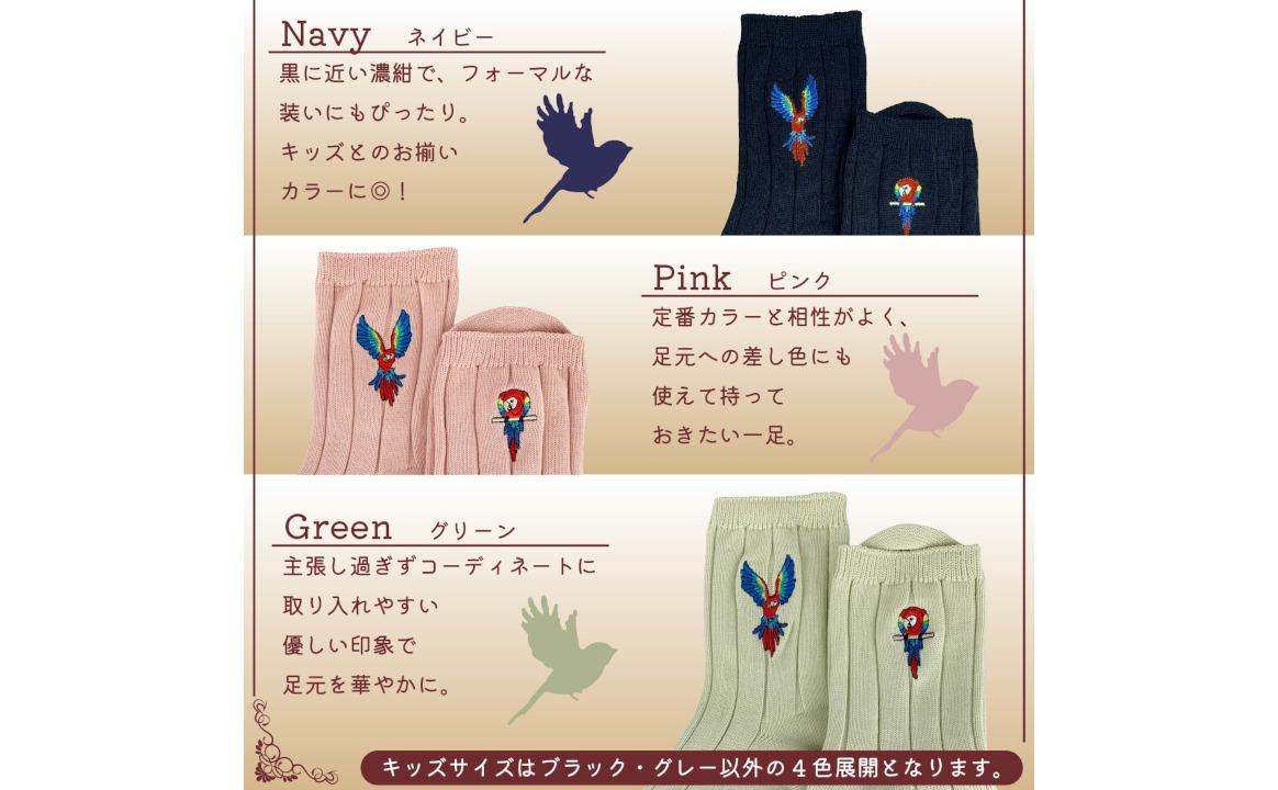 おはなし靴下 ギフトボックス アカコンゴウインコ レディース ブラック ブラック