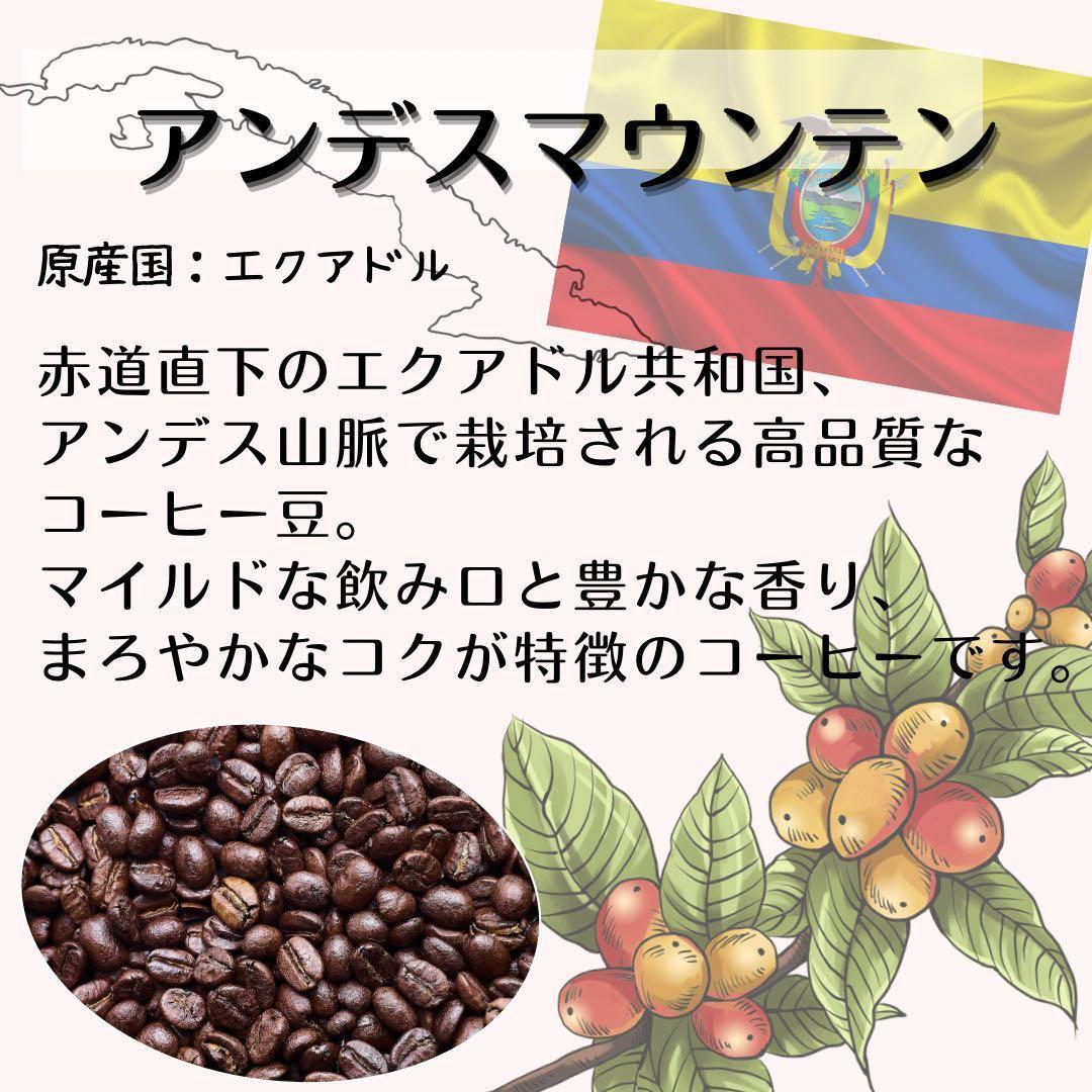 自家焙煎 プレミアム珈琲豆 3種セット（挽き）（3か月連続お届け） コーヒー豆の状態：挽き