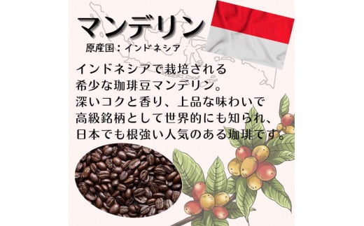 自家焙煎 人気珈琲豆 3種セット（豆のまま） 豆の状態：豆のまま