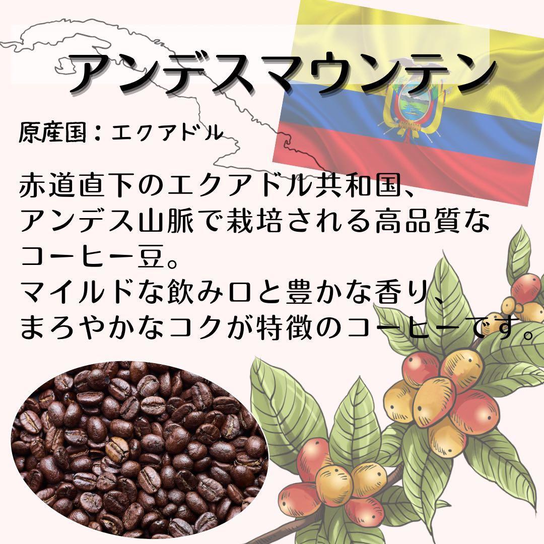 自家焙煎 プレミアム珈琲豆 3種セット（挽き） コーヒー豆の状態：挽き