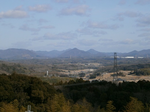 【定期便】 芳醇、吟香る山田錦入りビール「吟米麦酒」5本セット「3回お届け」【北海道・沖縄・離島　配送不可】