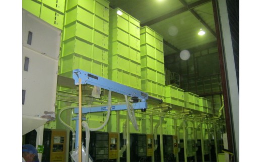 【定期便】兵庫県播磨産「山陽ほまれ　コシヒカリ」または「山陽ほまれ　ヒノヒカリ」10kg 「6回お届け（偶数月発送）」