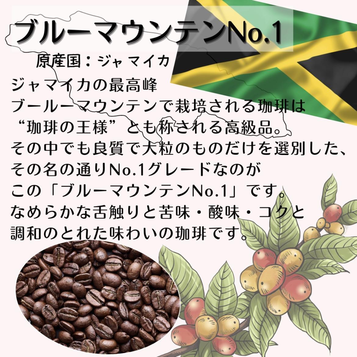 自家焙煎 プレミアム珈琲豆 3種セット（挽き）（6か月連続お届け） コーヒー豆の状態：挽き