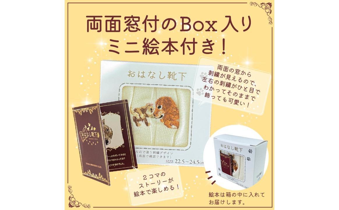 おはなし靴下 ギフトボックス イヌとネコ キッズ ネイビー ネイビー