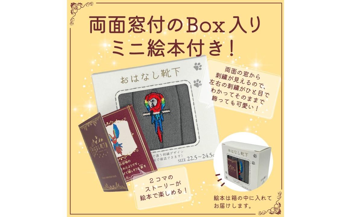 おはなし靴下 ギフトボックス アカコンゴウインコ キッズ アイボリー アイボリー