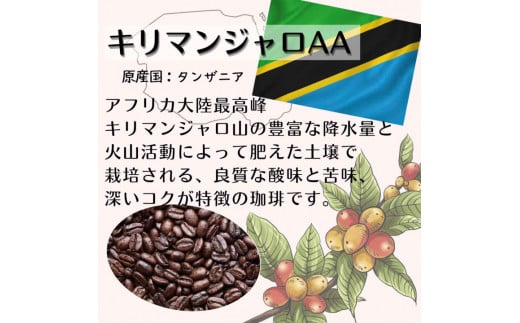 【定期便】自家焙煎 人気珈琲豆 3種セット（3か月）（挽き） 豆の状態：挽き