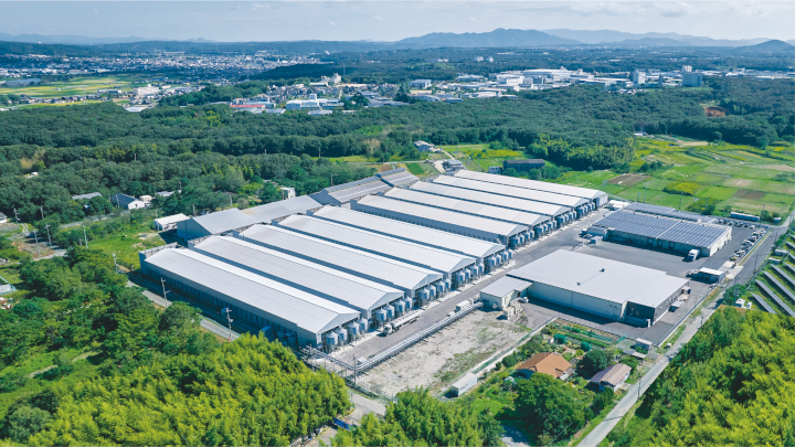 【オーイ！とんぼ×松田養鶏場コラボパッケージ】産地直送  松田養鶏場のひょうごの赤たまご60個（50個+割れ補償10個）