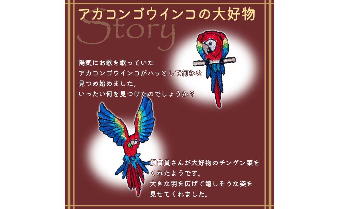 おはなし靴下 ギフトボックス アカコンゴウインコ レディース アイボリー アイボリー